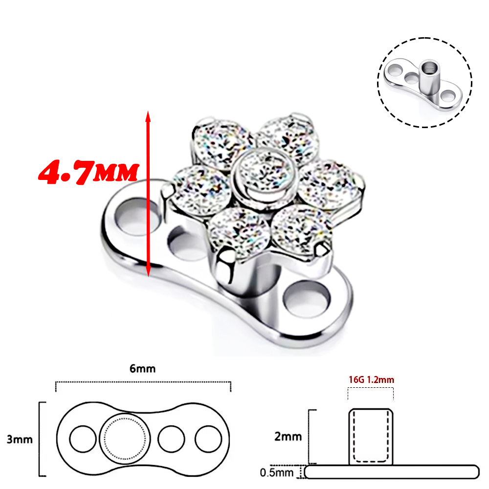 F136 liga de titânio de alta q - Body Jewelry Implant Grade Titanium avaliação e preço